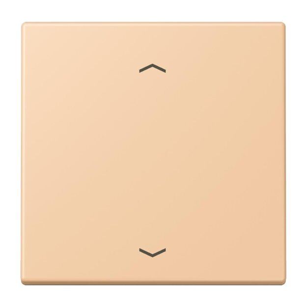Jung LC101P237 Wippe mit Pfeilsymbolen für KNX Taster 1-fach (Duroplast lackiert) Terre Sienne Claire 31 Les Couleurs® Le Corbusier