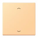 Jung LC101P258 Wippe mit Pfeilsymbolen für KNX...