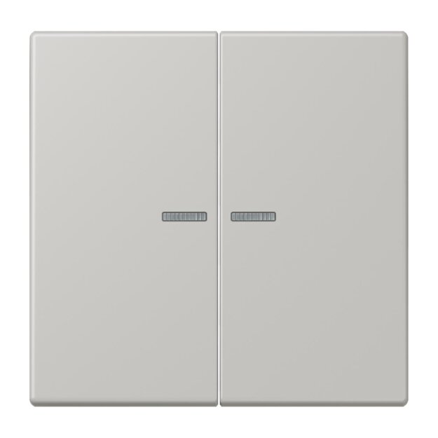 Jung LC102KO5205 Wippe mit Lichtleiter für KNX Taster 2-fach Gris Clair 31 Les Couleurs® Le Corbusier