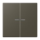 Jung LC102KO5241 Wippe mit Lichtleiter für KNX...