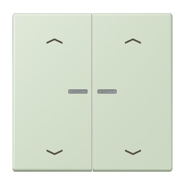 Jung LC102KO5P218 Wippe für Taster 2-fach mit Lichtleiter mit Pfeilsymbolen (Duroplast lackiert) Vert Anglâis Pale Les Couleurs® Le Corbusier