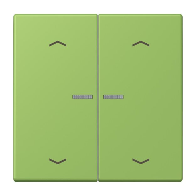 Jung LC102KO5P220 Wippe für Taster 2-fach mit Lichtleiter mit Pfeilsymbolen (Duroplast lackiert) Vert 31 Les Couleurs® Le Corbusier