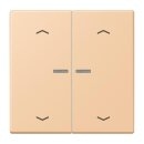 Jung LC102KO5P237 Wippe für Taster 2-fach mit...