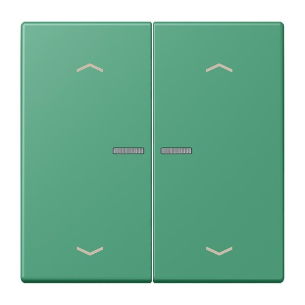 Jung LC102KO5P250 Wippe für Taster 2-fach mit Lichtleiter mit Pfeilsymbolen (Duroplast lackiert) Vert 59 Les Couleurs® Le Corbusier