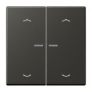 Jung LC102KO5P259 Wippe für Taster 2-fach mit...