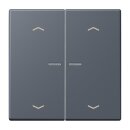 Jung LC102KO5P262 Wippe für Taster 2-fach mit...