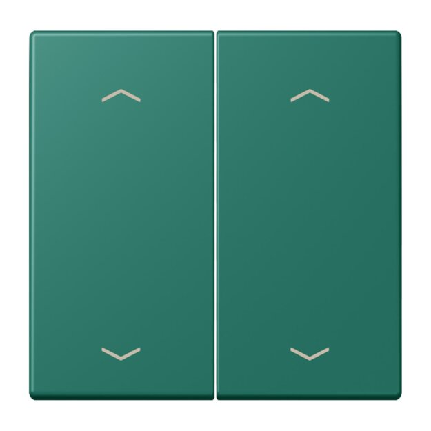 Jung LC102P216 Wippe mit Pfeilsymbolen für KNX Taster 2-fach (Duroplast lackiert) Vert Anglais Les Couleurs® Le Corbusier