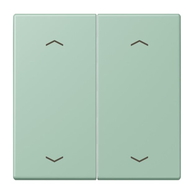 Jung LC102P217 Wippe mit Pfeilsymbolen für KNX Taster 2-fach (Duroplast lackiert) Vert Anglais Clair Les Couleurs® Le Corbusier