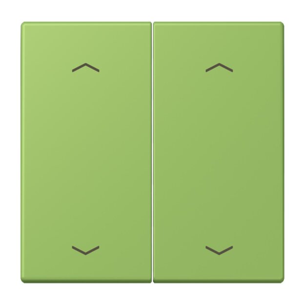 Jung LC102P220 Wippe mit Pfeilsymbolen für KNX Taster 2-fach (Duroplast lackiert) Vert 31 Les Couleurs® Le Corbusier