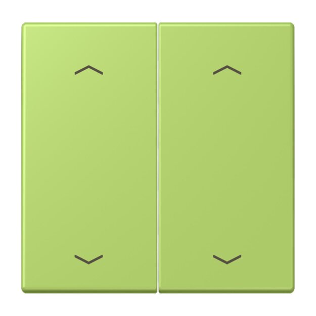 Jung LC102P221 Wippe mit Pfeilsymbolen für KNX Taster 2-fach (Duroplast lackiert) Vert Clair Les Couleurs® Le Corbusier