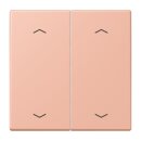 Jung LC102P231 Wippe mit Pfeilsymbolen für KNX...