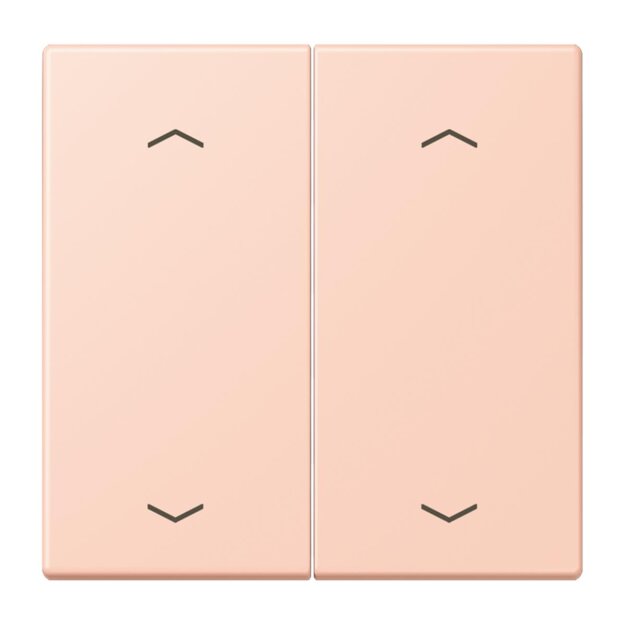 Jung LC102P234 Wippe mit Pfeilsymbolen für KNX Taster 2-fach (Duroplast lackiert) LOcre Rouge Clair Les Couleurs® Le Corbusier