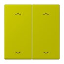 Jung LC102P249 Wippe mit Pfeilsymbolen für KNX...