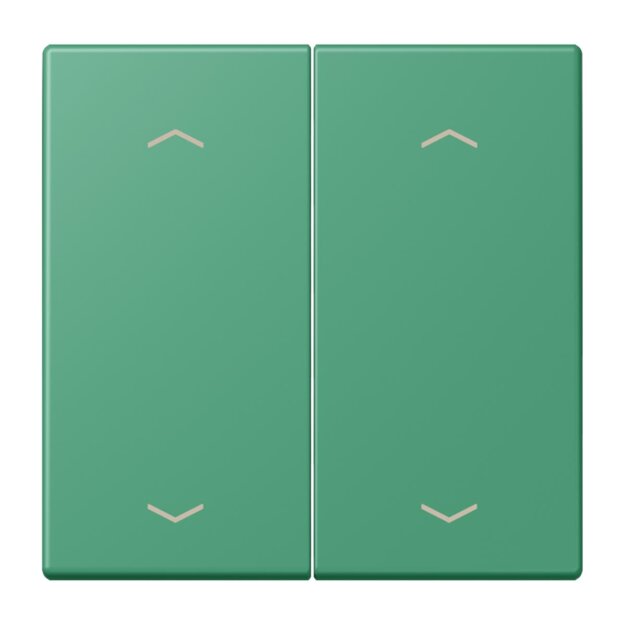 Jung LC102P250 Wippe mit Pfeilsymbolen für KNX Taster 2-fach (Duroplast lackiert) Vert 59 Les Couleurs® Le Corbusier