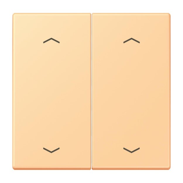Jung LC102P258 Wippe mit Pfeilsymbolen für KNX Taster 2-fach (Duroplast lackiert) Terre Sienne Claire 59 Les Couleurs® Le Corbusier