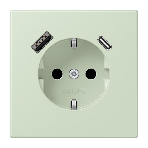 Jung LC1520-15CA218 SCHUKO-Steckdose mit USB-Ladegerät Safety+ Typ AC LC32042 (Thermoplast lackiert) Vert Anglâis Pale Les Couleurs® Le Corbusier