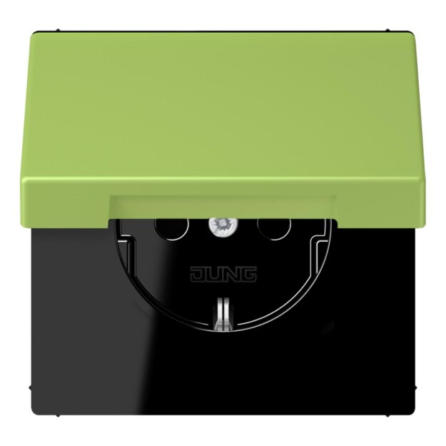 Jung LC1520BFKIKL221 SCHUKO-Steckdose Safety+ mit Klappdeckel LC32052 (Thermoplast lackiert) Vert Clair Les Couleurs® Le Corbusier