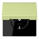 Jung LC1520BFKIKL222 SCHUKO-Steckdose Safety+ mit...