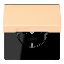 Jung LC1520BFKIKL223 SCHUKO-Steckdose Safety+ mit...