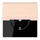 Jung LC1520BFKIKL226 SCHUKO-Steckdose Safety+ mit...