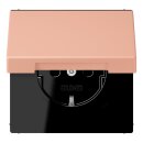 Jung LC1520BFKIKL231 SCHUKO-Steckdose Safety+ mit...
