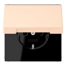 Jung LC1520BFKIKL238 SCHUKO-Steckdose Safety+ mit...
