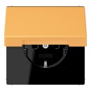 Jung LC1520BFKIKL254 SCHUKO-Steckdose Safety+ mit...