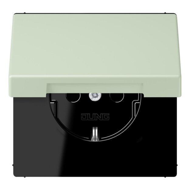 Jung LC1520BFKL218 SCHUKO-Steckdose mit Klappdeckel LC32042 (Thermoplast lackiert) Vert Anglâis Pale Les Couleurs® Le Corbusier