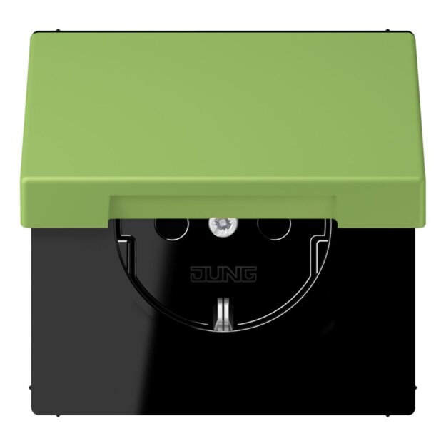 Jung LC1520BFKL220 SCHUKO-Steckdose mit Klappdeckel LC32051 (Thermoplast lackiert) Vert 31 Les Couleurs® Le Corbusier