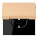 Jung LC1520BFKL237 SCHUKO-Steckdose mit Klappdeckel...
