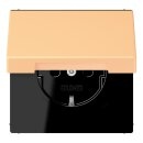Jung LC1520BFKL258 SCHUKO-Steckdose mit Klappdeckel...
