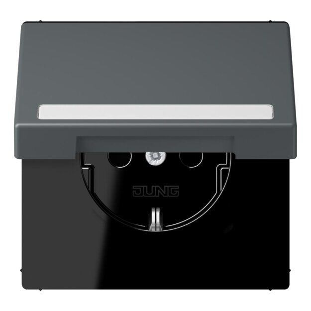 Jung LC1520BFNAKL202 SCHUKO-Steckdose Safety+ Klappdeckel mit Schriftfeld (Thermoplast lackiert) Gris Foncé 31 Les Couleurs® Le Corbusier