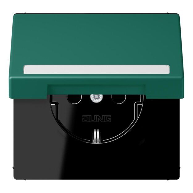 Jung LC1520BFNAKL216 SCHUKO-Steckdose Safety+ Klappdeckel mit Schriftfeld (Thermoplast lackiert) Vert Anglais Les Couleurs® Le Corbusier