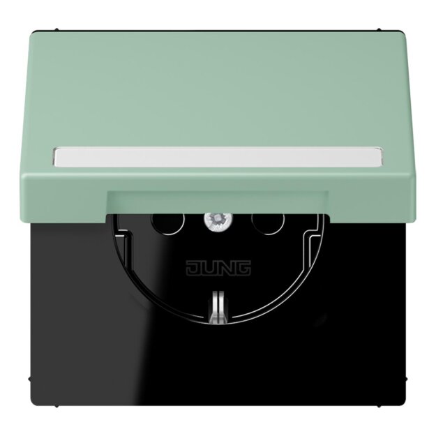 Jung LC1520BFNAKL217 SCHUKO-Steckdose Safety+ Klappdeckel mit Schriftfeld (Thermoplast lackiert) Vert Anglais Clair Les Couleurs® Le Corbusier