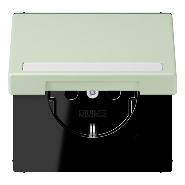 Jung LC1520BFNAKL218 SCHUKO-Steckdose Safety+ Klappdeckel mit Schriftfeld (Thermoplast lackiert) Vert Anglâis Pale Les Couleurs® Le Corbusier