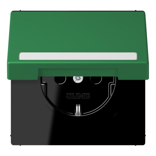 Jung LC1520BFNAKL219 SCHUKO-Steckdose Safety+ Klappdeckel mit Schriftfeld (Thermoplast lackiert) Vert Foncé Les Couleurs® Le Corbusier