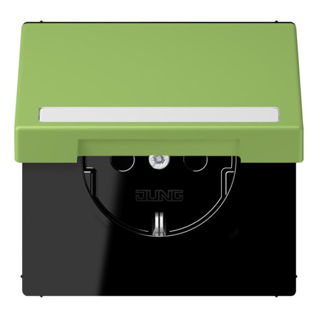Jung LC1520BFNAKL220 SCHUKO-Steckdose Safety+ Klappdeckel mit Schriftfeld (Thermoplast lackiert) Vert 31 Les Couleurs® Le Corbusier