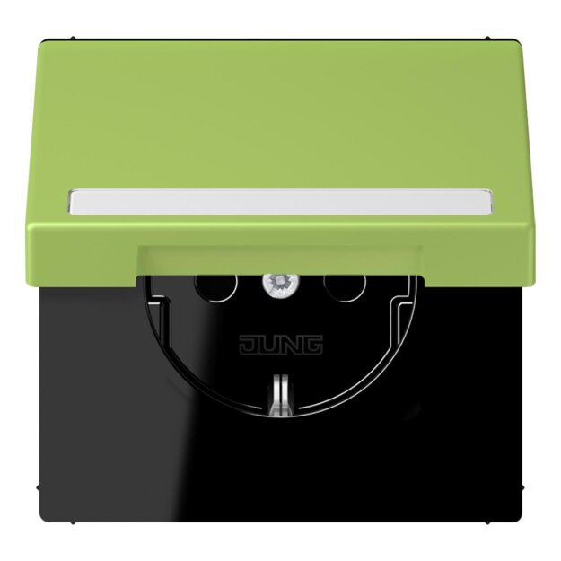Jung LC1520BFNAKL221 SCHUKO-Steckdose Safety+ Klappdeckel mit Schriftfeld (Thermoplast lackiert) Vert Clair Les Couleurs® Le Corbusier