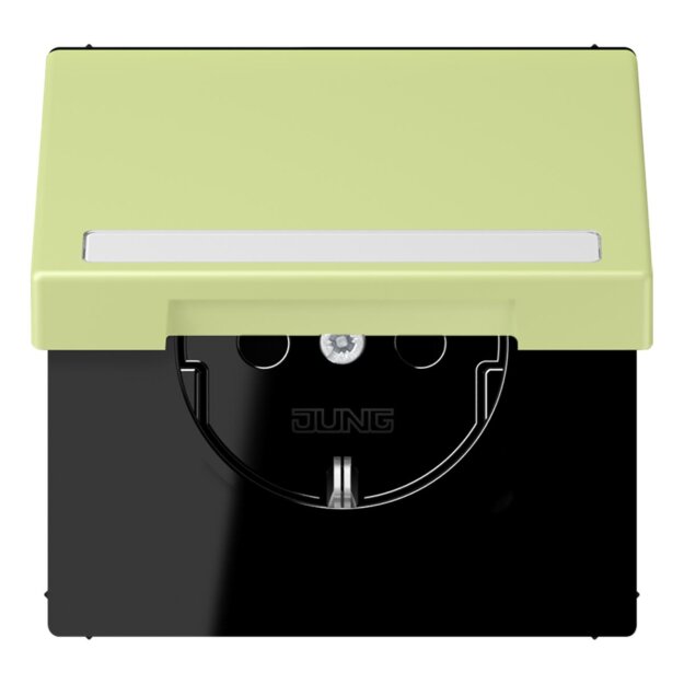 Jung LC1520BFNAKL222 SCHUKO-Steckdose Safety+ Klappdeckel mit Schriftfeld (Thermoplast lackiert) Vert Jaune Clair Les Couleurs® Le Corbusier