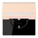 Jung LC1520BFNAKL226 SCHUKO-Steckdose Safety+ Klappdeckel...