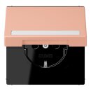 Jung LC1520BFNAKL231 SCHUKO-Steckdose Safety+ Klappdeckel...