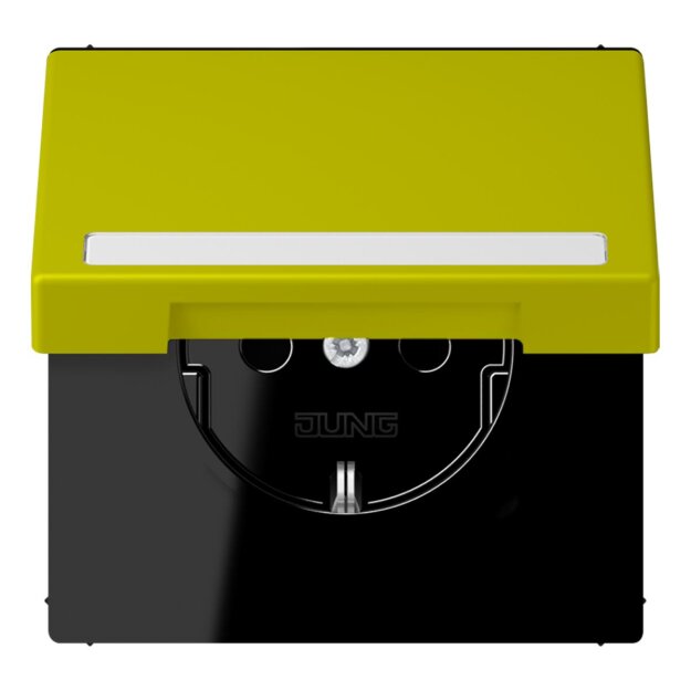 Jung LC1520BFNAKL249 SCHUKO-Steckdose Safety+ Klappdeckel mit Schriftfeld (Thermoplast lackiert) Vert Olive Vif Les Couleurs® Le Corbusier