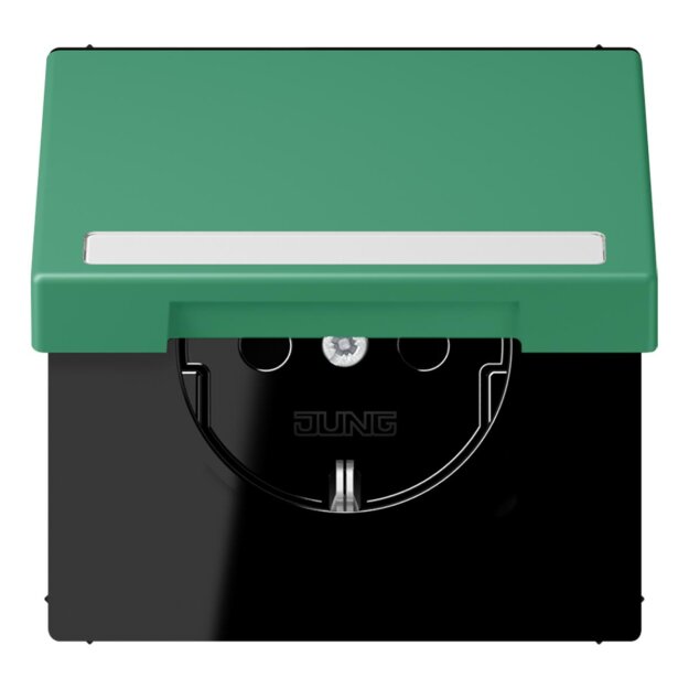 Jung LC1520BFNAKL250 SCHUKO-Steckdose Safety+ Klappdeckel mit Schriftfeld (Thermoplast lackiert) Vert 59 Les Couleurs® Le Corbusier