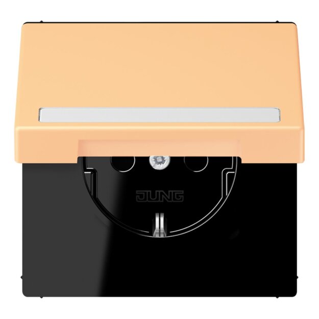 Jung LC1520BFNAKL258 SCHUKO-Steckdose Safety+ Klappdeckel mit Schriftfeld (Thermoplast lackiert) Terre Sienne Claire 59 Les Couleurs® Le Corbusier