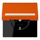 Jung LC1520BFNAKL260 SCHUKO-Steckdose Safety+ Klappdeckel...