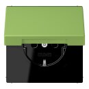 Jung LC1520NBFKL220 SCHUKO-Steckdose mit Klappdeckel...