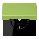 Jung LC1520NBFKL221 SCHUKO-Steckdose mit Klappdeckel...