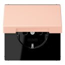 Jung LC1520NBFKL234 SCHUKO-Steckdose mit Klappdeckel...