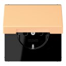 Jung LC1520NBFKL258 SCHUKO-Steckdose mit Klappdeckel...