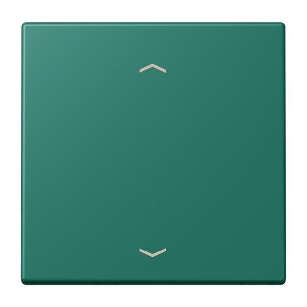 Jung LC1700P216 LB-Management Taster 1-fach mit Pfeilsymbolen LC32040 Vert Anglais Les Couleurs® Le Corbusier
